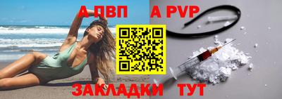 индика Кингисепп