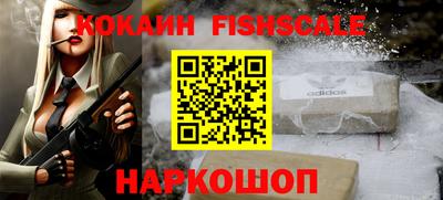 индика Кингисепп