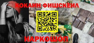индика Кингисепп