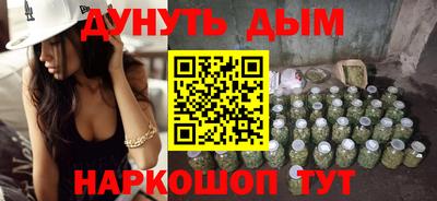 индика Кингисепп