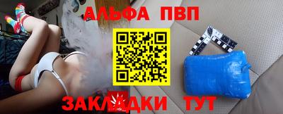 индика Кингисепп