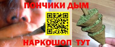 индика Кингисепп