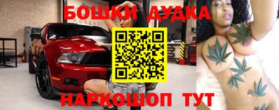 индика Кингисепп