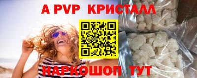 индика Кингисепп
