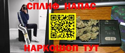 индика Кингисепп