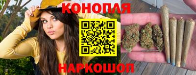 индика Кингисепп