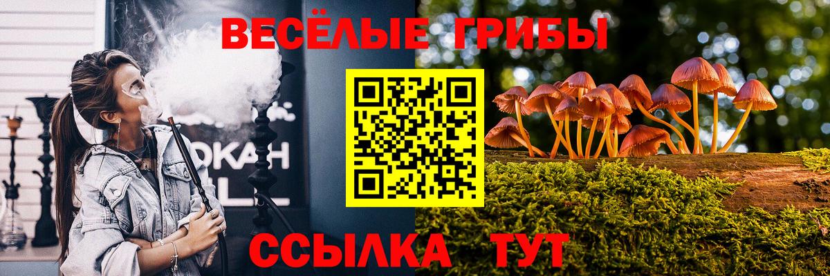 Псилоцибиновые грибы GOLDEN TEACHER Дагестанские Огни