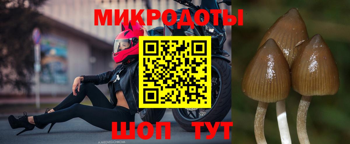 Галлюциногенные грибы GOLDEN TEACHER  Галлюциногенные грибы мицелий  Дагестанские Огни  Вход с VPN 